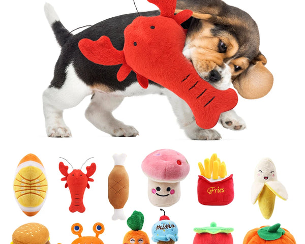 Squeaky plush dog toy for dogs and cats that supports chewing, mental stimulation, and interactive play for daily enrichment.