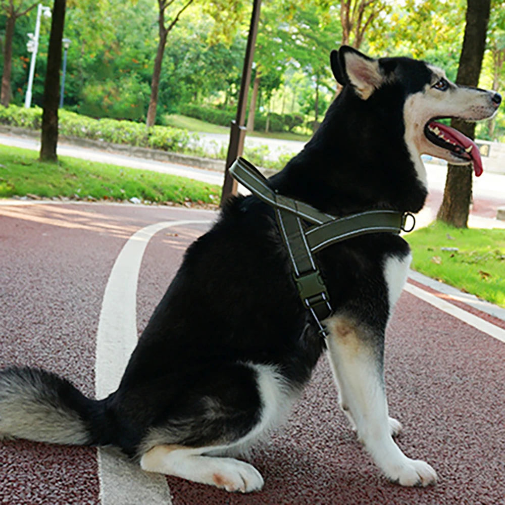 Tactical Anti-Pull Dog Harness