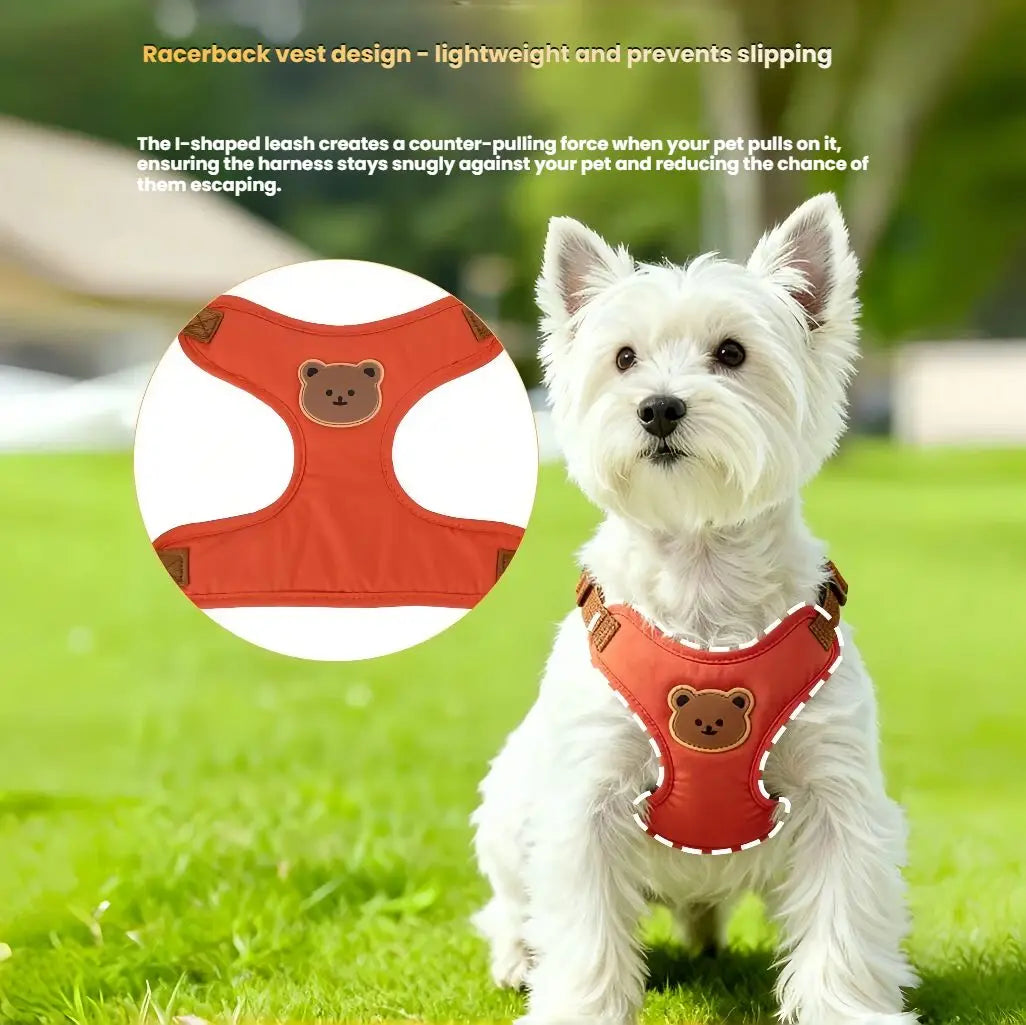 Cute Dog Harness and Leash Set
