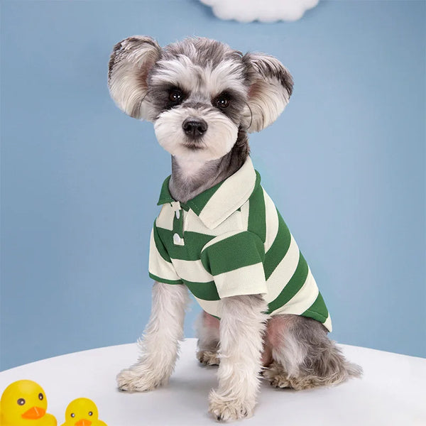 PawPolo Summer Shirt