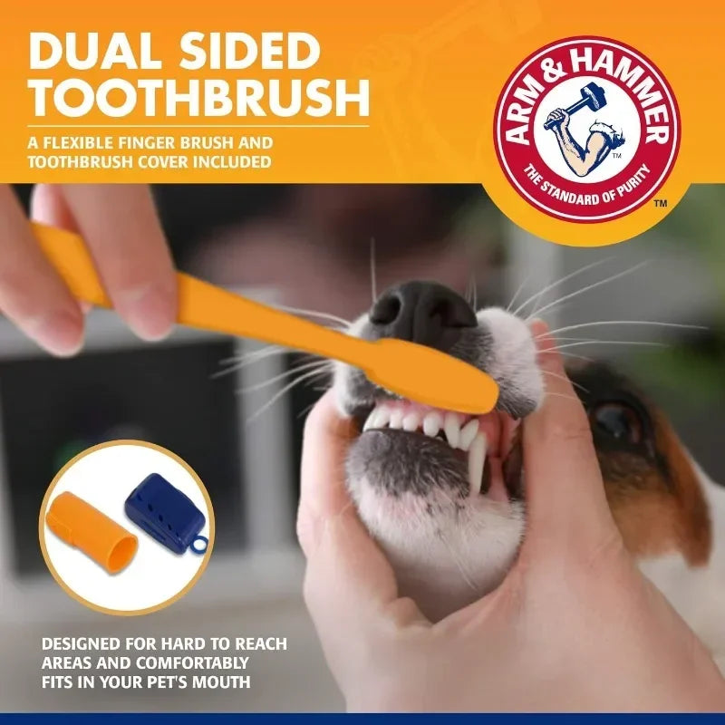 FreshBite Dental Kit