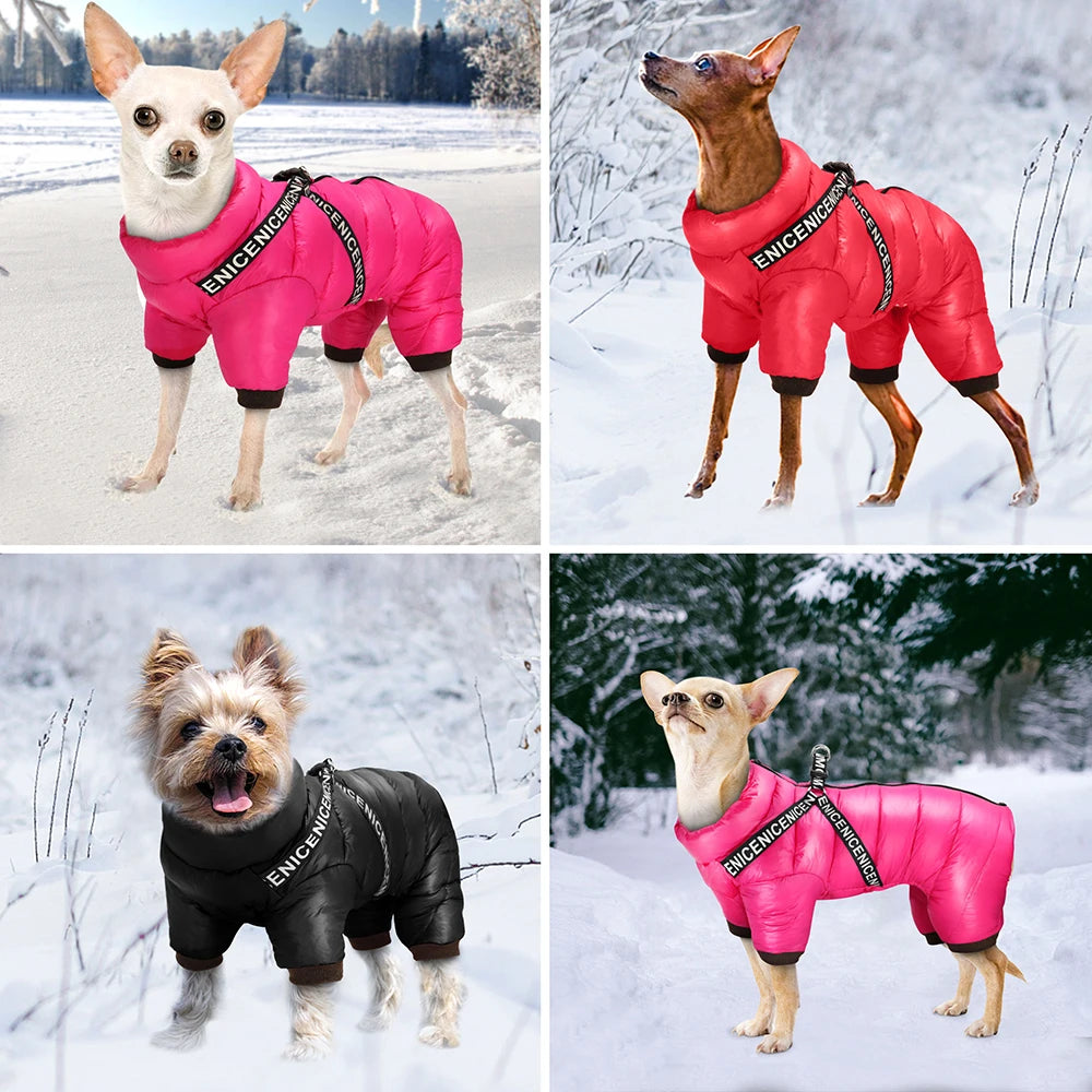 Thermora – Dog Jacket with Harness