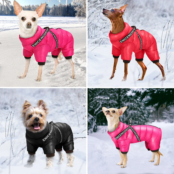 Thermora – Dog Jacket with Harness