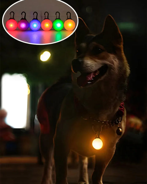 LED safety pendant for dogs and cats that improves visibility during nighttime walks and outdoor activities.