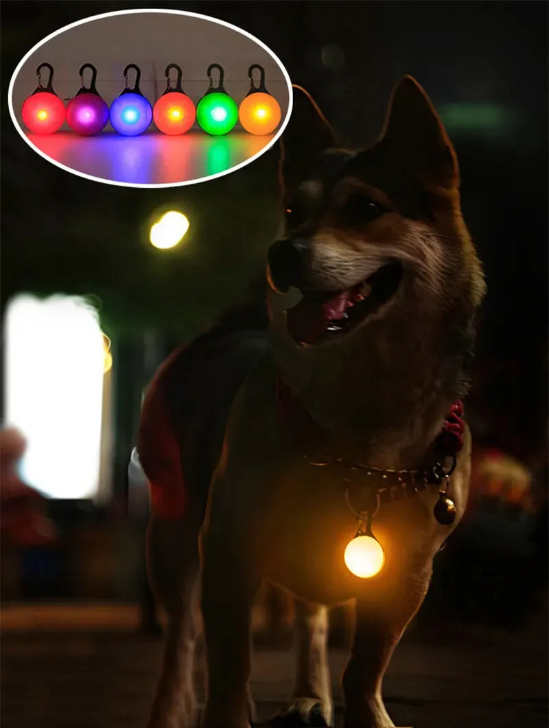 LED safety pendant for dogs and cats that improves visibility during nighttime walks and outdoor activities.