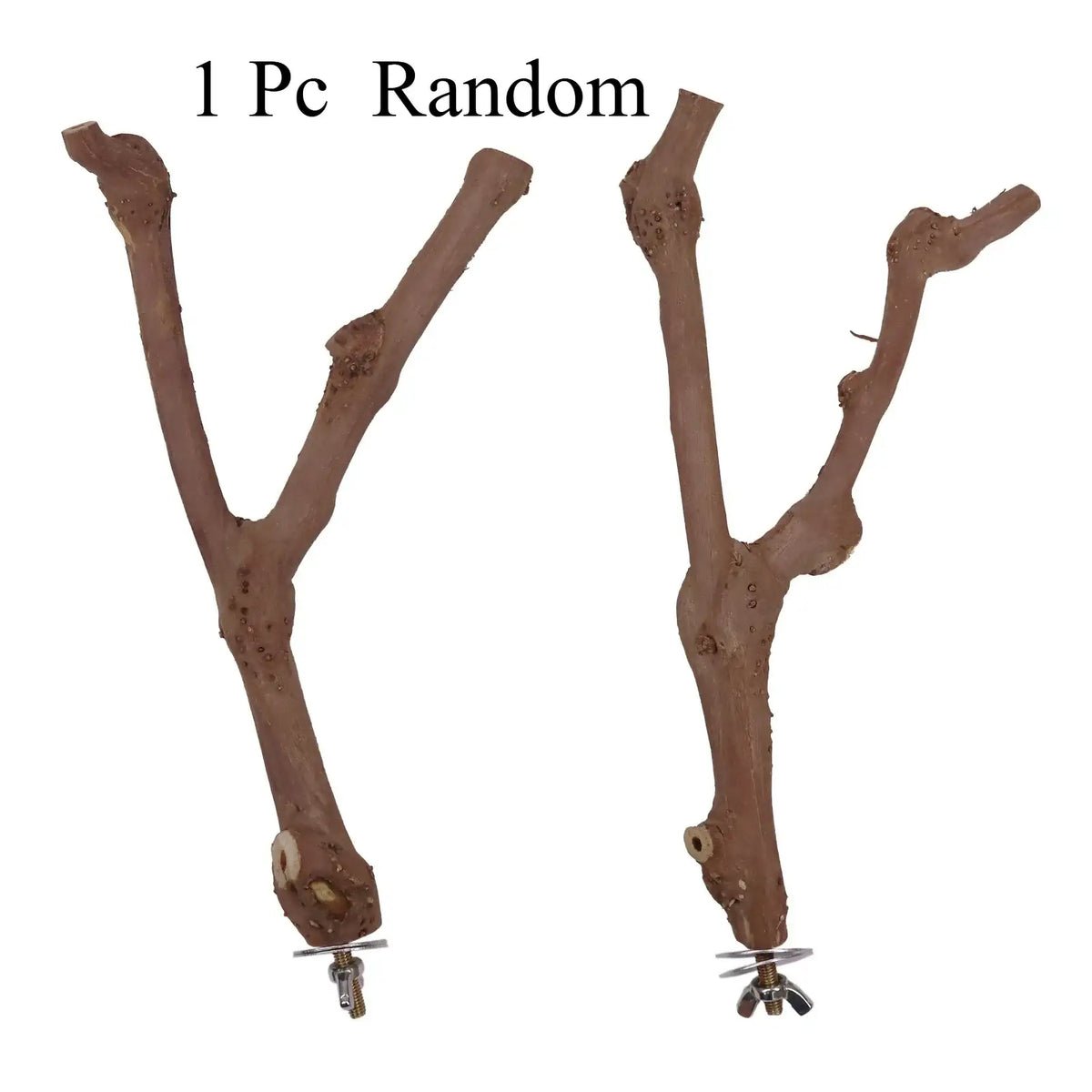 Beakwood Grape Branch