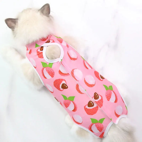 PetRecovery Anti-Licking Suit