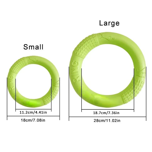 FetchRing Floating Toy