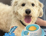 Interactive licking mat for dogs and cats that promotes slow feeding, reduces anxiety, supports digestion, and provides mental stimulation through calming food-based enrichment activities