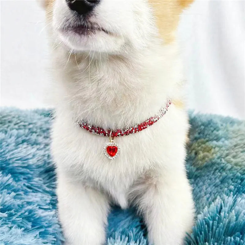 Aurora Heart Collar