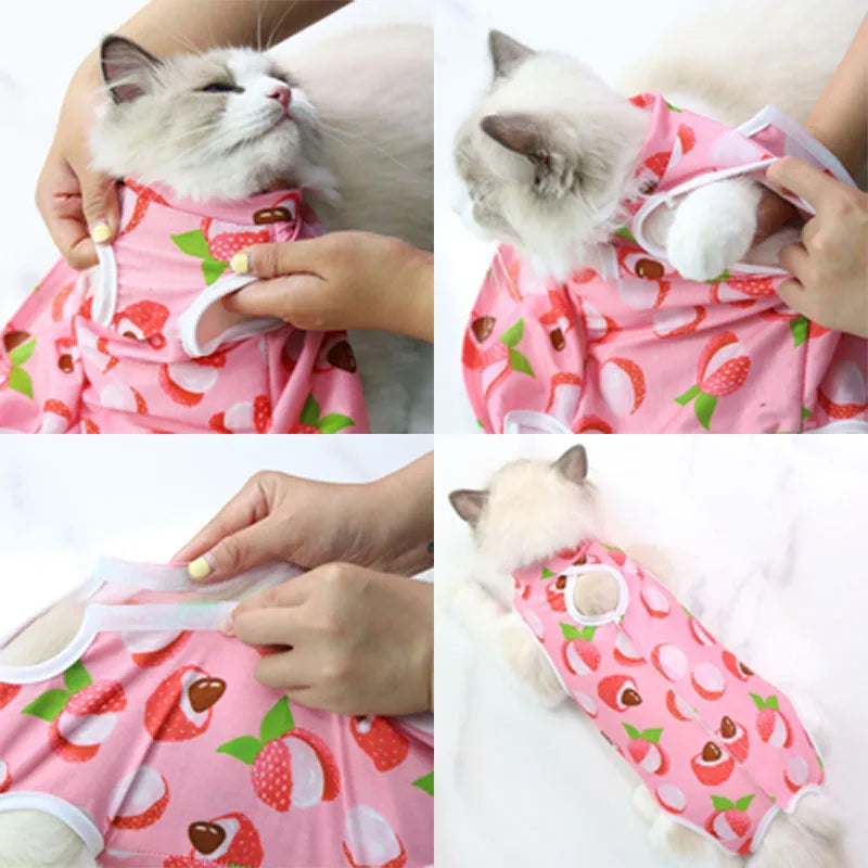 PetRecovery Anti-Licking Suit