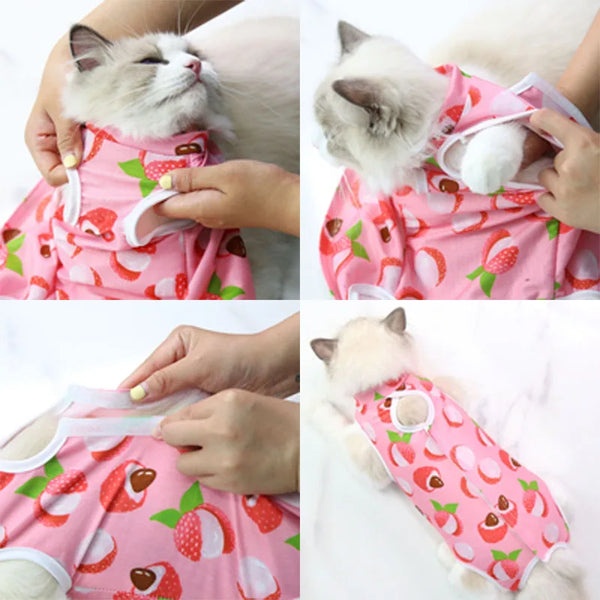 PetRecovery Anti-Licking Suit