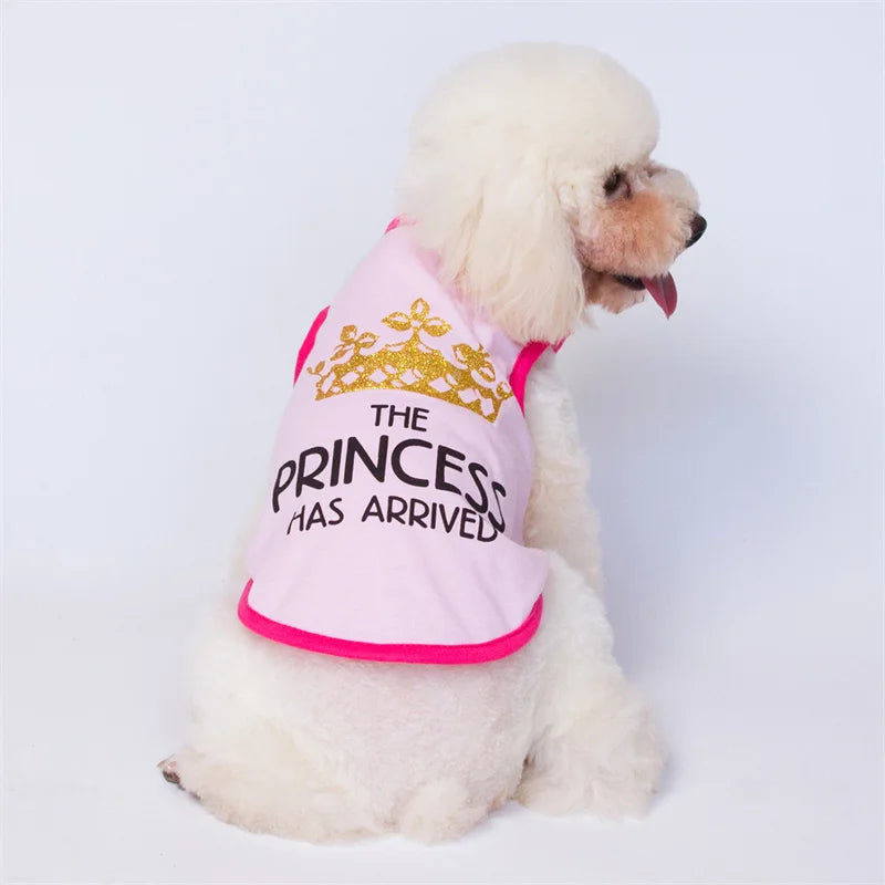 Majesty Paws Collection