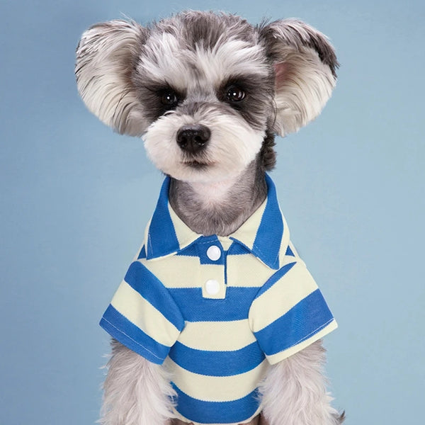 PawPolo Summer Shirt
