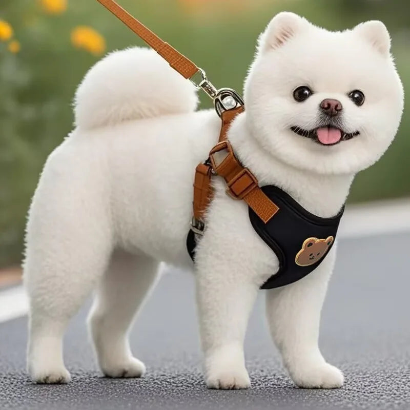 Cute Dog Harness and Leash Set