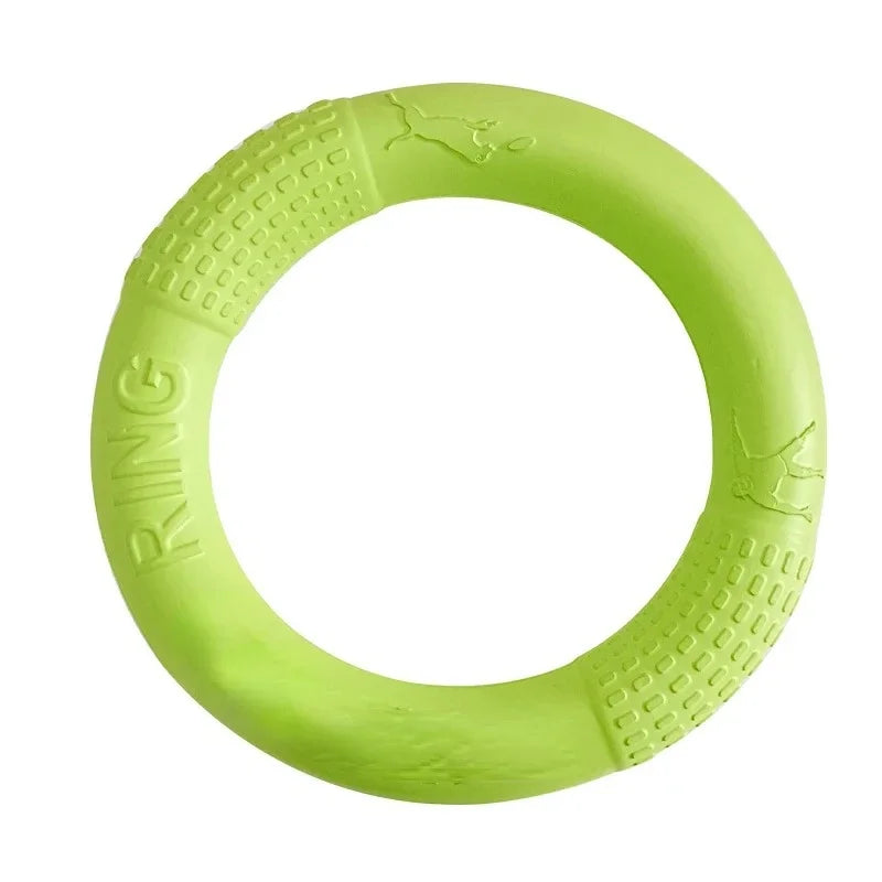 FetchRing Floating Toy