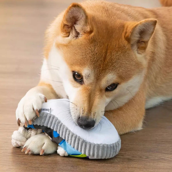 Squeaky Dog Toy Pro