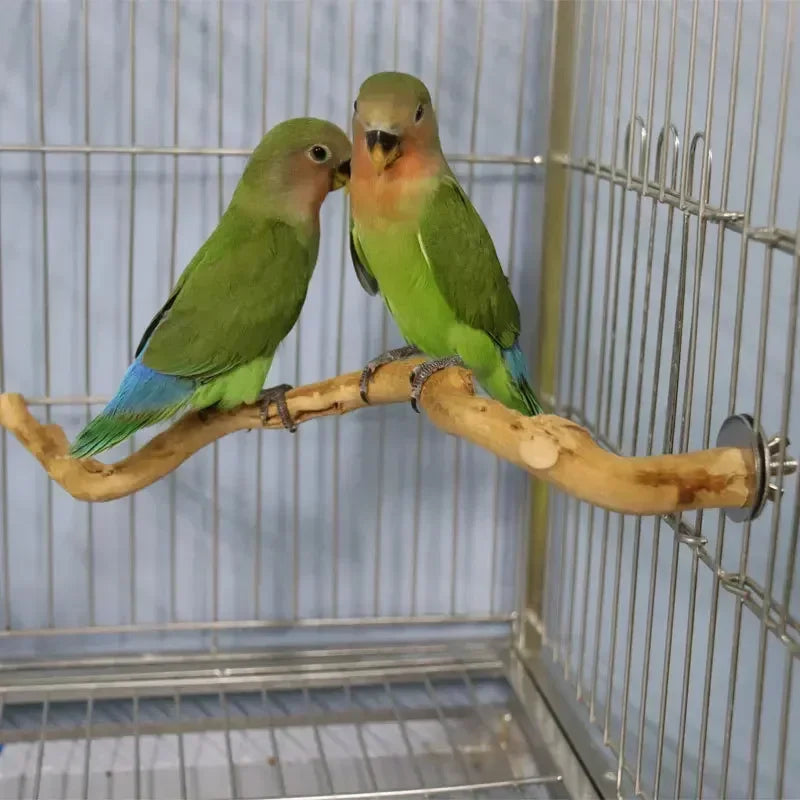 nestwood-vine-perch