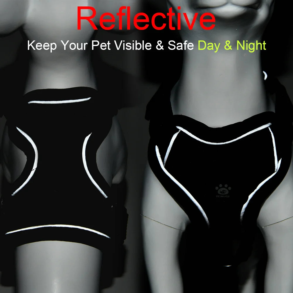 Dog Harness and Leash Set