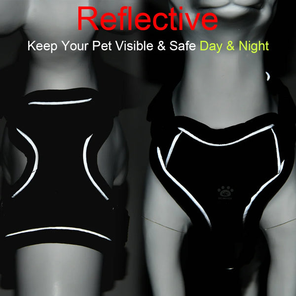 Dog Harness and Leash Set