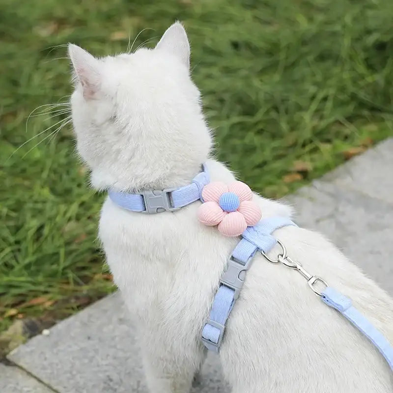 WhiskerStride