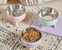 Elevated ice-cream style pet feeding bowl for cats and small to medium dogs designed to improve posture and reduce neck strain during eating and drinking