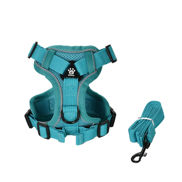 Dog Harness and Leash Set