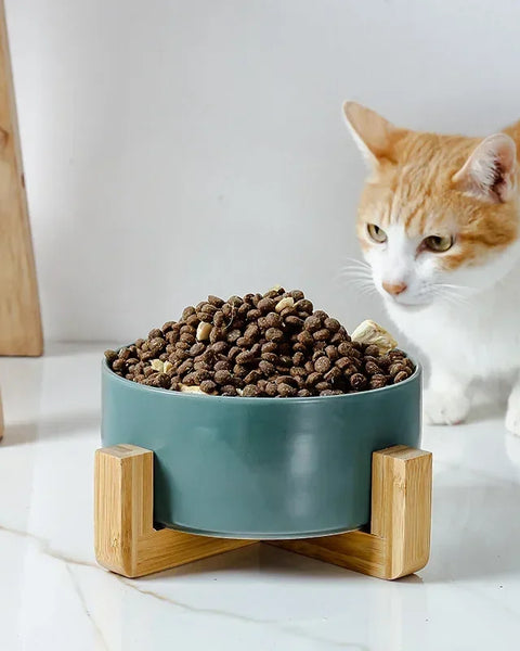 PawLuxeFeeder - Ceramic
