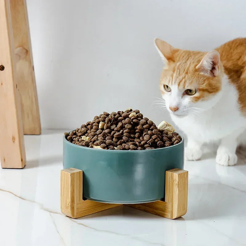 PawLuxeFeeder - Ceramic