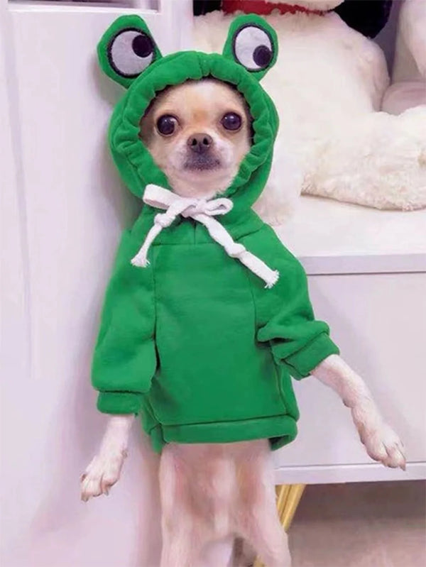 FrogPaws CozyWear