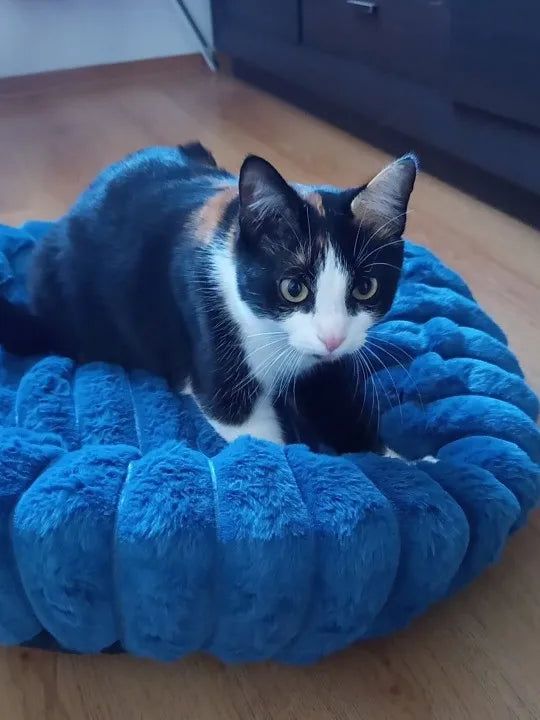 DreamPuff Bed