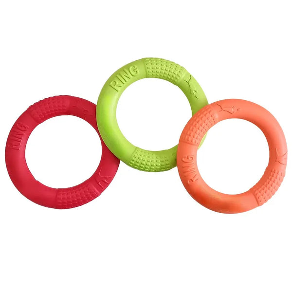 FetchRing Floating Toy