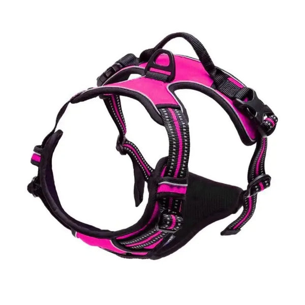 SafeTrail Harness