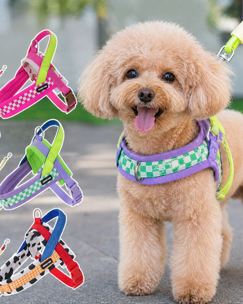 ComfortFit Dog Harness | Adjustable No-Pull Harness for Small Dogs | RoyalPrimer