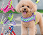 ComfortFit Dog Harness | Adjustable No-Pull Harness for Small Dogs | RoyalPrimer