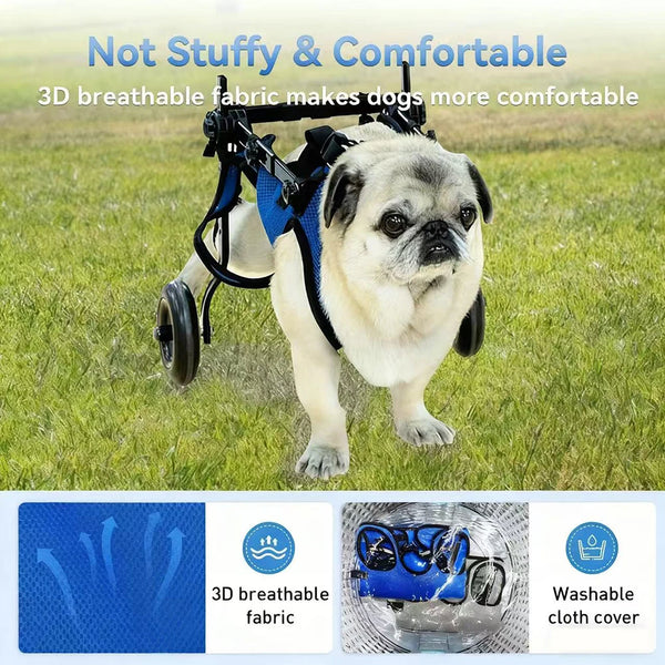 Mobilicare Pet