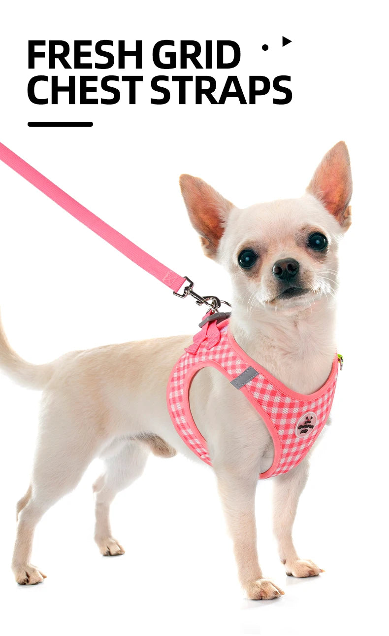 Dog Harness and Leash Set