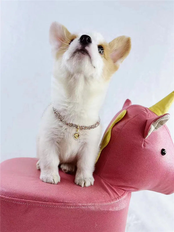 Aurora Heart Collar