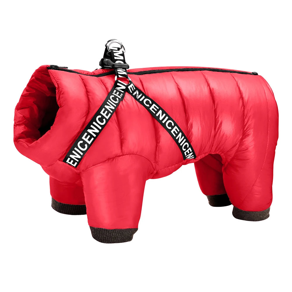 Thermora – Dog Jacket with Harness