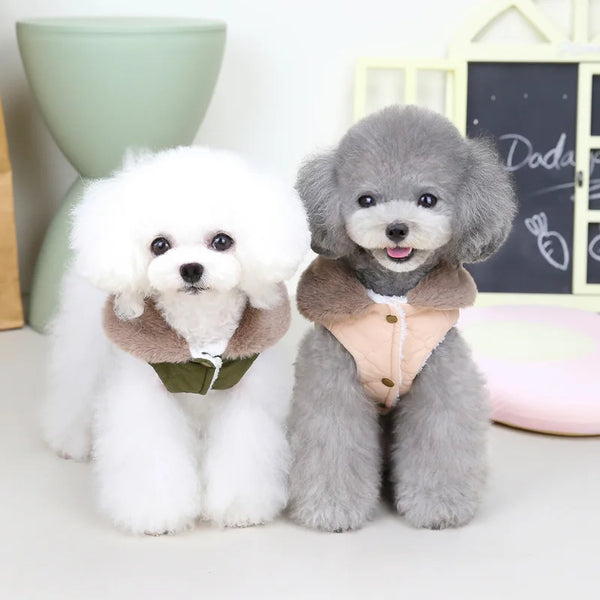 WinterHug Premium