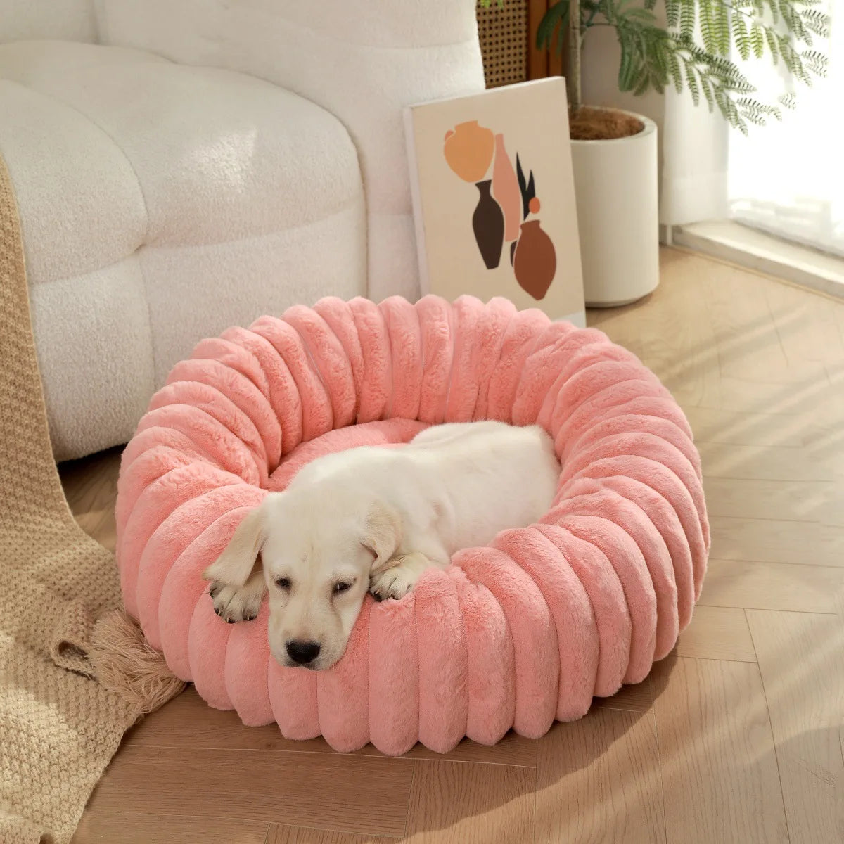 DreamPuff Bed