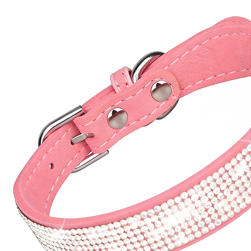 Luxe Fashion Pet Collar