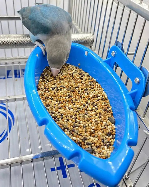 SplashTray PlayBaths