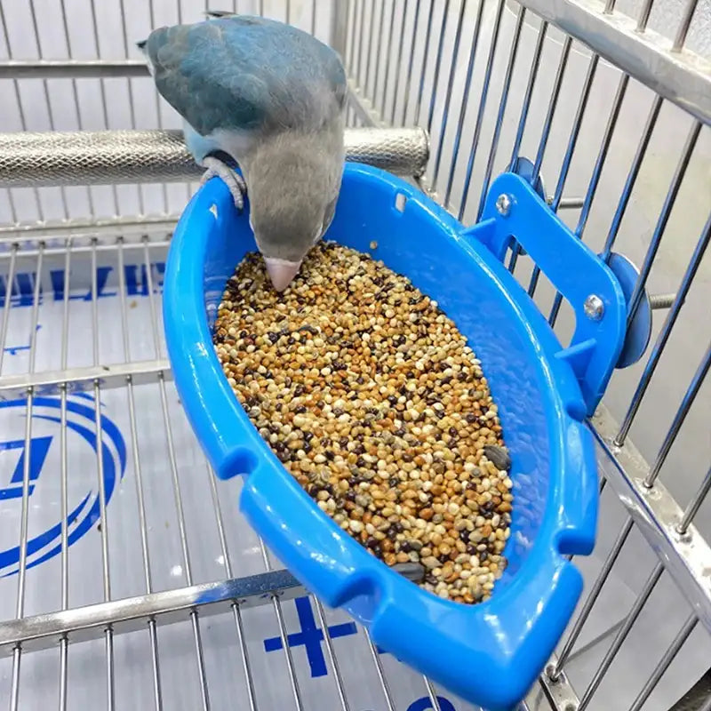 SplashTray PlayBaths