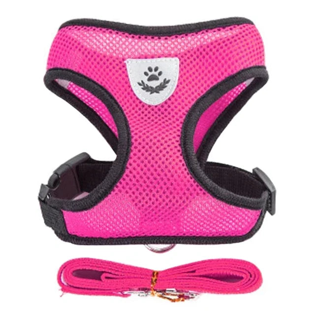 Veltra – Adjustable Pet Harness with Leash