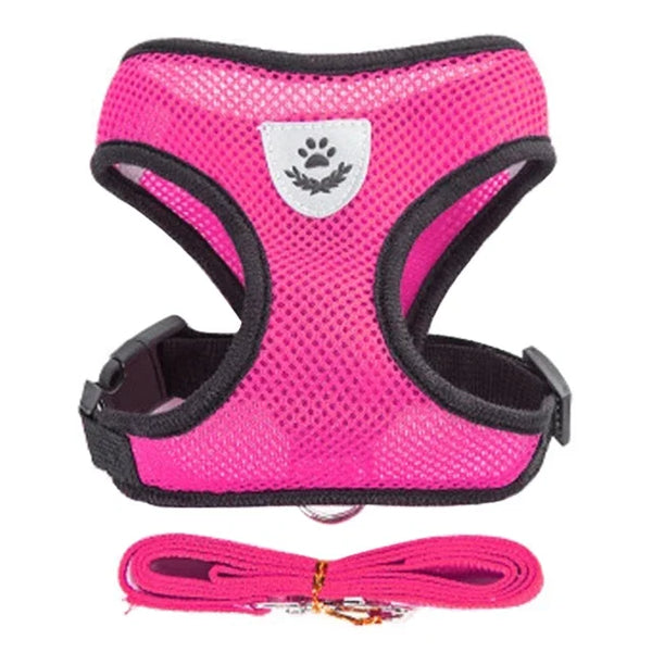 Veltra – Adjustable Pet Harness with Leash
