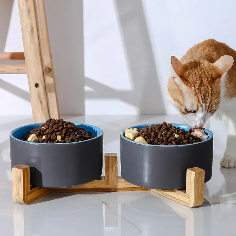 PawLuxeFeeder - Ceramic