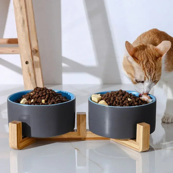 PawLuxeFeeder - Ceramic