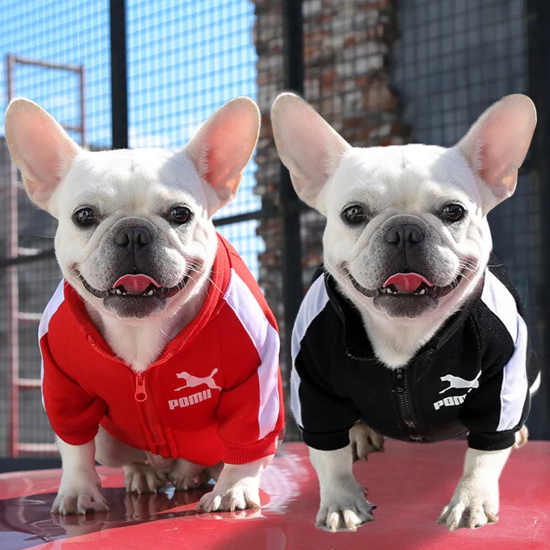 WinterPaws Baseball Jacket