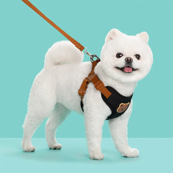Cute Dog Harness and Leash Set